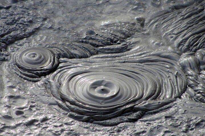 Rotorua Mud