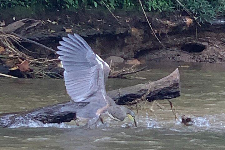 Safari Float and wild life experience in Arenal
