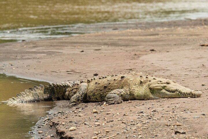 Safari Float and wild life experience in Arenal