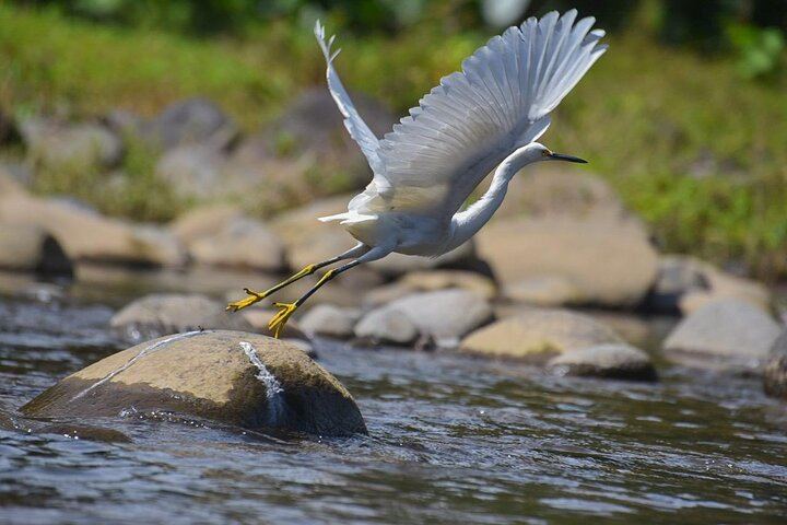 Safari Float and wild life experience in Arenal