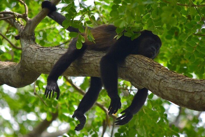 Safari Float and wild life experience in Arenal