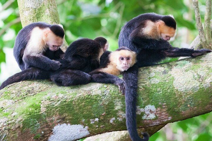 Safari Float and wild life experience in Arenal