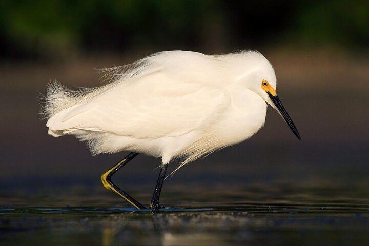 Safari Float and wild life experience in Arenal