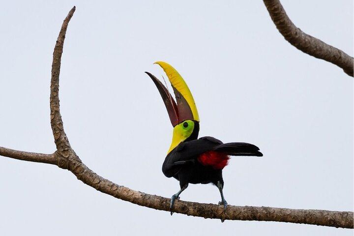 Safari Float and wild life experience in Arenal