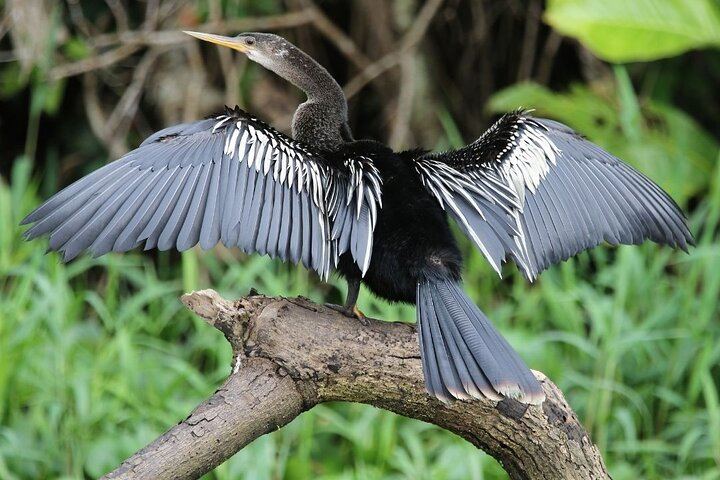Safari Float and wild life experience in Arenal