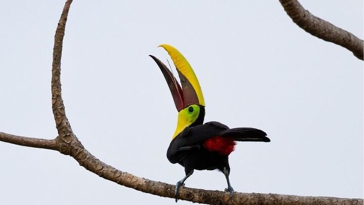 Safari Float and wild life experience in Arenal