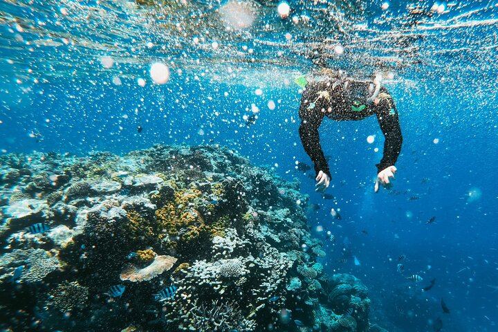 São Miguel Azores: Hike and Snorkeling into the wild with a local