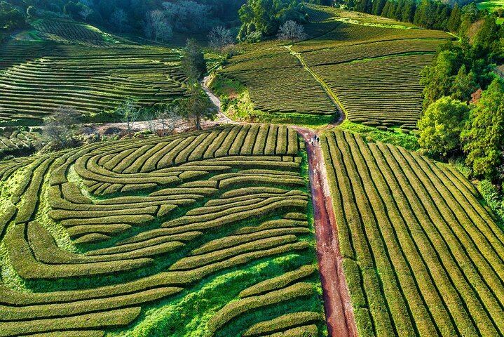 São Miguel, Azores - Private Tour 9 hours in 4 seats car "Exclusively for You"