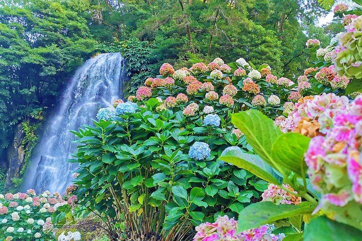 São Miguel, Azores - Private Tour 9 hours in 4 seats car "Exclusively for You"