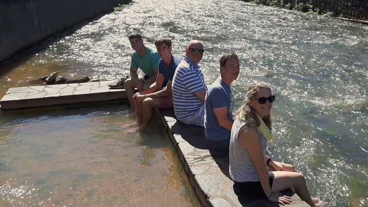 São Miguel East Highlights: Furnas, Nordeste & Lunch