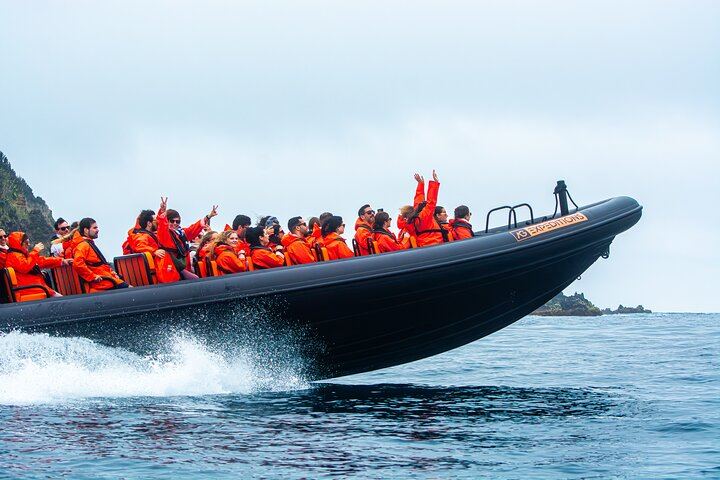 São Miguel: Sea Caves & Volcanic Cliffs Boat Tour