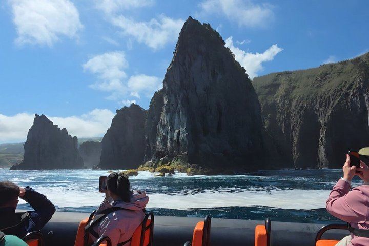 São Miguel: Sea Caves & Volcanic Cliffs Boat Tour