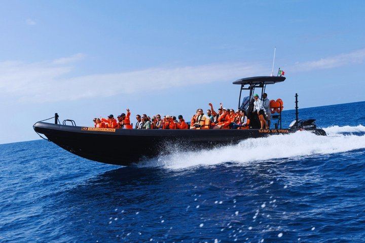 São Miguel: Sea Caves & Volcanic Cliffs Boat Tour