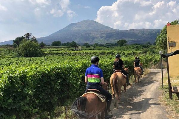 Vesuvius on Horseback at Walking Pace, with a Winery Lunch