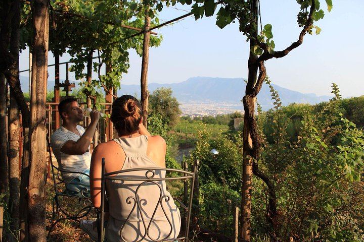 Scenic Horseback Ride, Wine Tasting & Lunch on Mt. Vesuvius