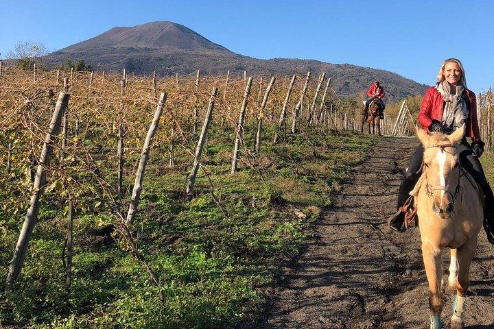 Scenic Horseback Ride, Wine Tasting & Lunch on Mt. Vesuvius