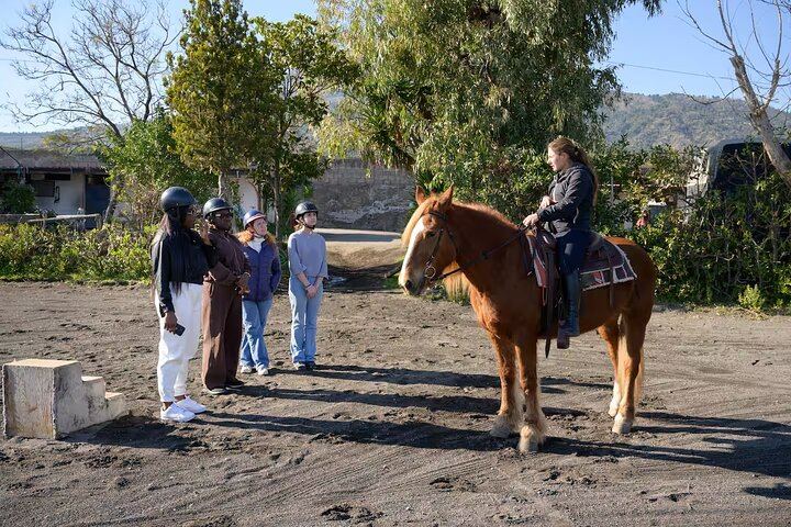 Horseback Riding on Vesuvius