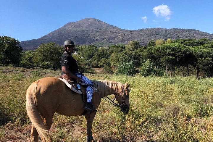 Scenic Horseback Ride, Wine Tasting & Lunch on Mt. Vesuvius