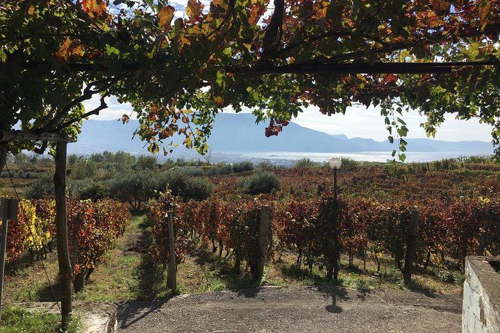 Scenic Horseback Ride, Wine Tasting & Lunch on Mt. Vesuvius