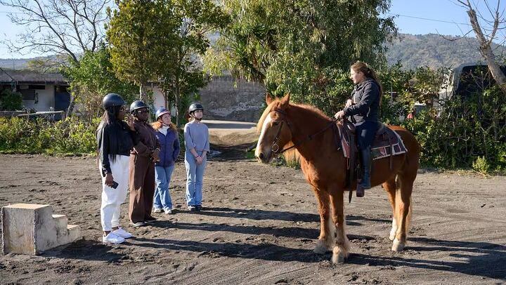 Scenic Horseback Ride, Wine Tasting & Lunch on Mt. Vesuvius