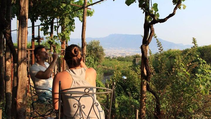 Scenic Horseback Ride, Wine Tasting & Lunch on Mt. Vesuvius