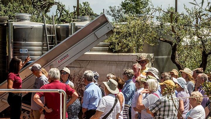Scenic Wine Tasting & Lunch on the Slopes of Vesuvius from Naples
