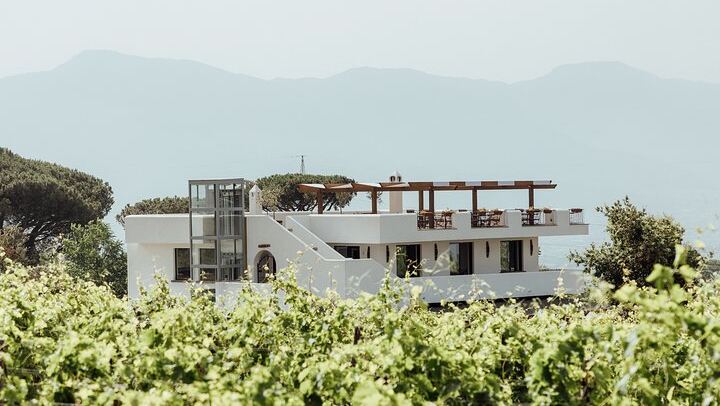 Scenic Wine Tasting & Lunch on the Slopes of Vesuvius from Naples