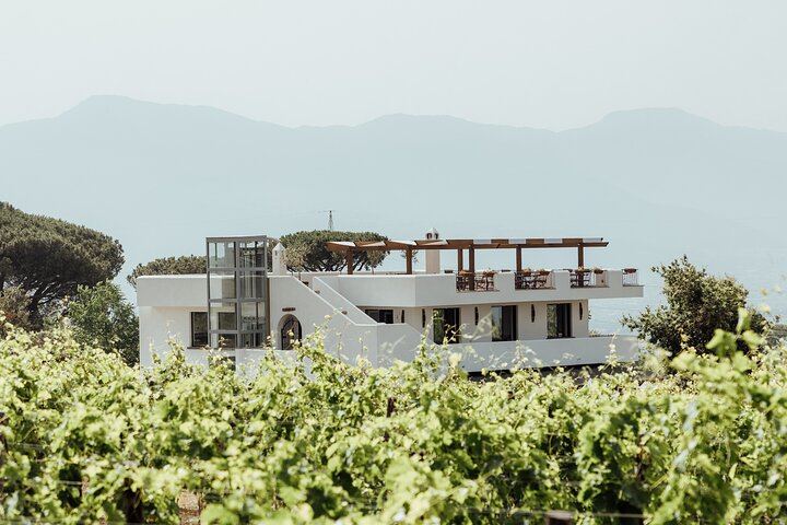 Scenic Wine Tasting & Lunch on the Slopes of Vesuvius from Naples
