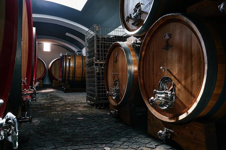 Scenic Wine Tasting & Lunch on the Slopes of Vesuvius from Naples