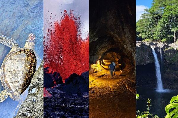 Big Island Day Tour with Native Hawaiian Guides: the Quarter-Acre Banyan