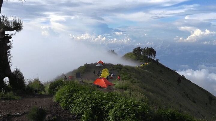 sembalun camping area