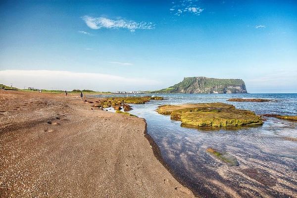 Private Taxi Around Jeju: Your Own Itinerary Inside a 130 km Day