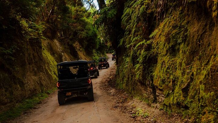 Side by Side Tour - Sete Cidades from North Coast (Half Day)