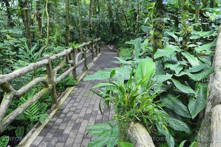 Skip-the-Line La Fortuna Waterfall Admission Ticket