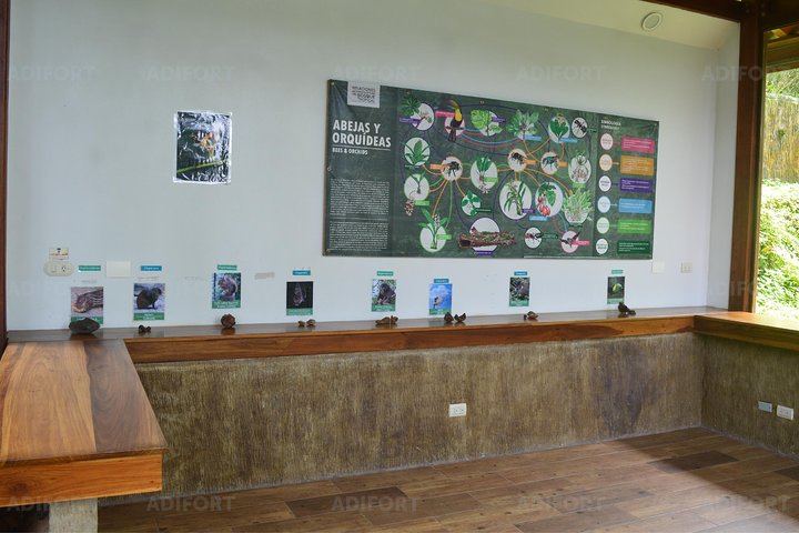 Skip-the-Line La Fortuna Waterfall Admission Ticket