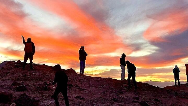 Small Group Teide National Park Volcanic and Forest Wonders
