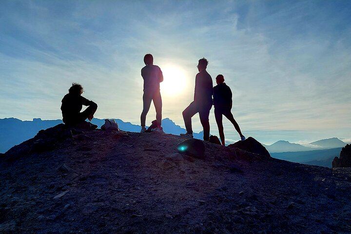 Small Group Teide National Park Volcanic and Forest Wonders