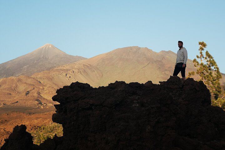 Small Group Teide National Park Volcanic and Forest Wonders