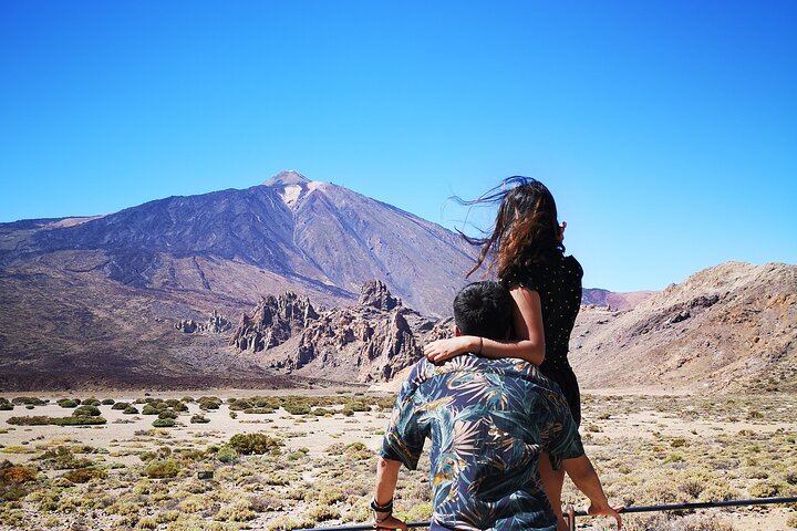 Small Group Teide National Park Volcanic and Forest Wonders