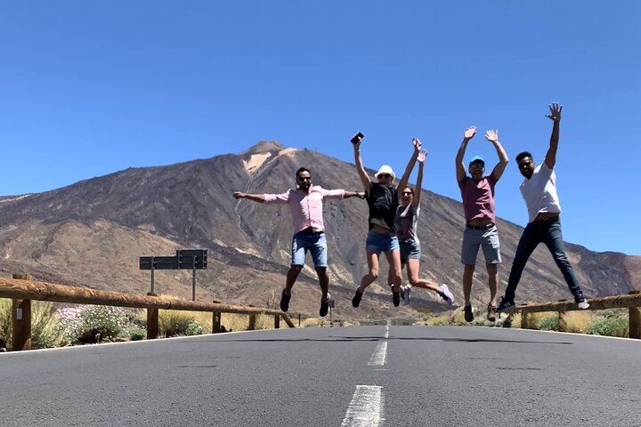 Small Group Teide National Park Volcanic and Forest Wonders