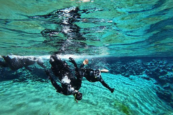 Snorkeling Silfra and the Golden Circle, with the Photos Included