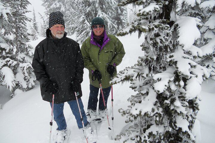 Private Mount Rainier Day Trip from Seattle, Itinerary Set with Your Guide (7/8)