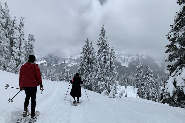 Snowshoeing in the winter season