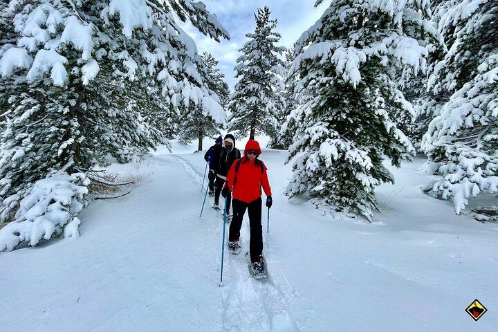 Snowshoeing in the woods before arriving at the craters