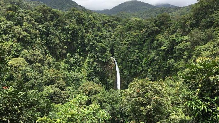 Spectacular Waterfall Viewpoint