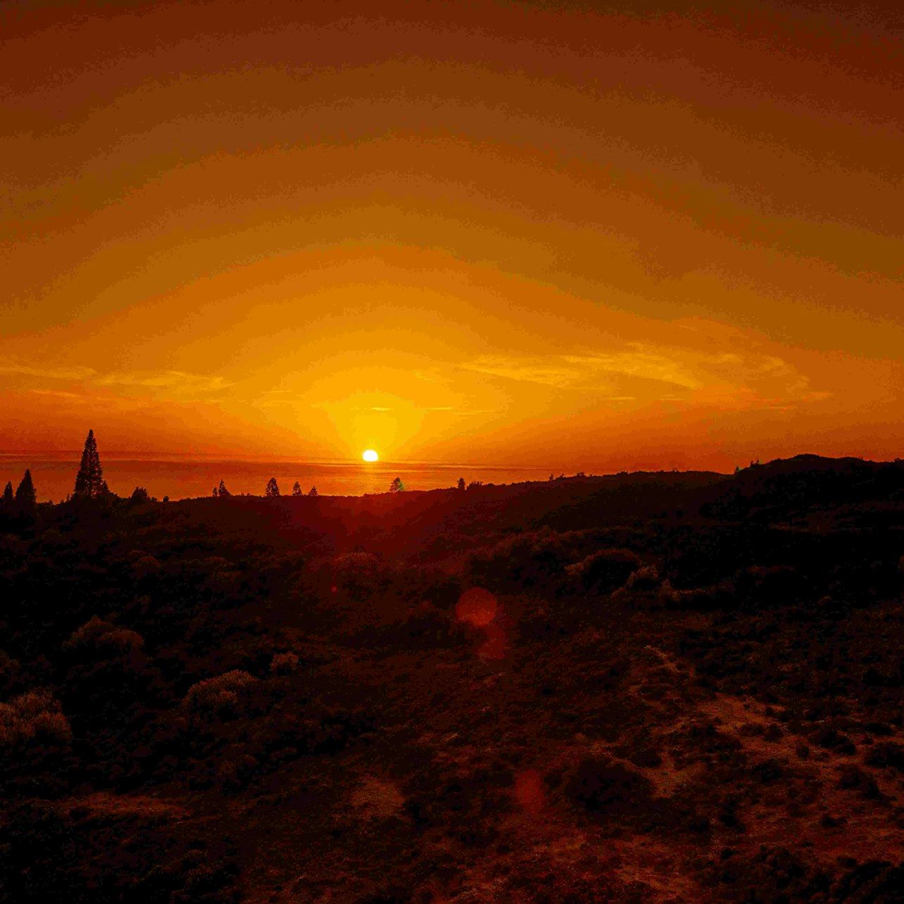 Stargazing on Teide: the Telescope Is Yours to Point