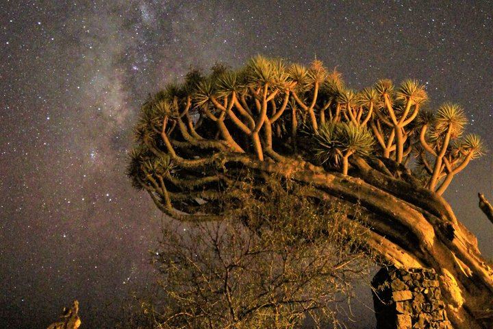 Stargazing on La Palma
