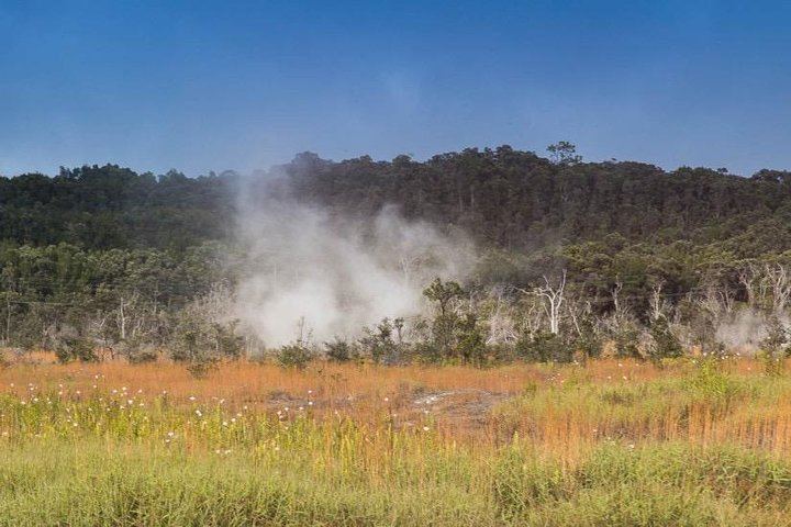 Steam Vents
