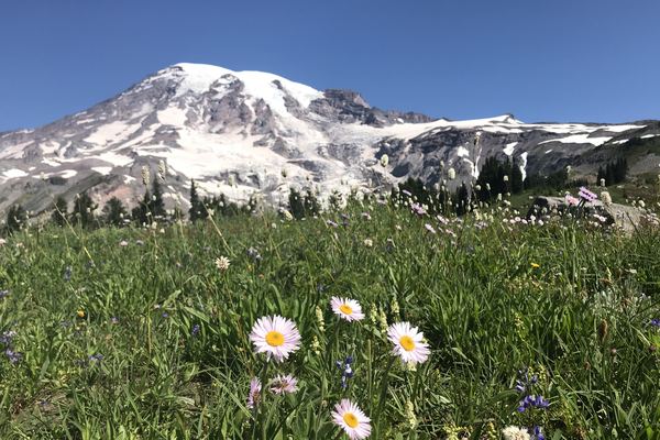Mount Rainier