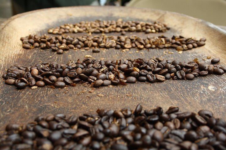 Super Combo Tour: Waterfalls Gardens + Coffee Tour + Poás Volcano